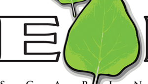2 Leaf Logo